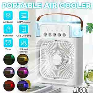Portable air cooler